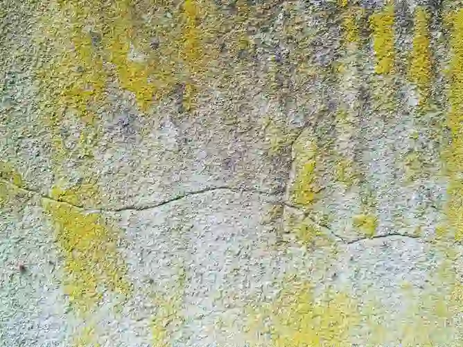 Façade poreuse absorbant l'eau