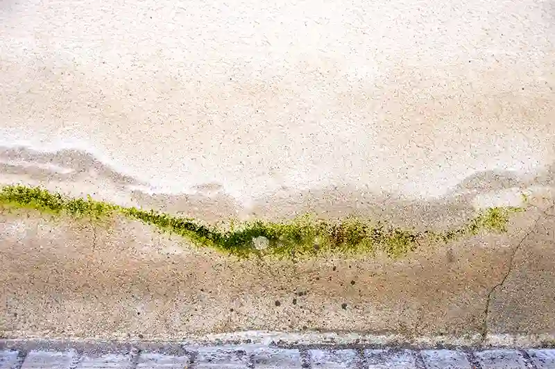 Mur abîmé par l'humidité et le salpêtre